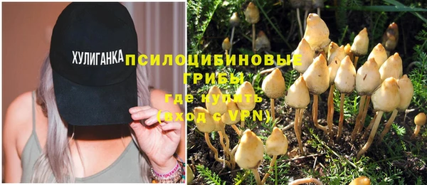 ешки Инсар