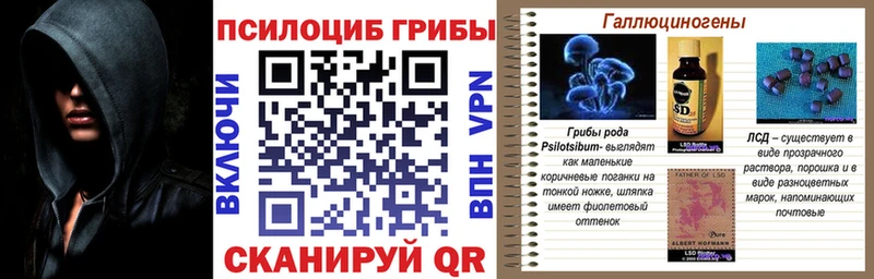 Псилоцибиновые грибы GOLDEN TEACHER  Купить где  Будённовск 